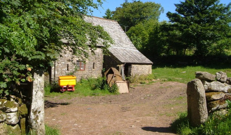 Walk with a Dartmoor Farmer The Exeter Daily
